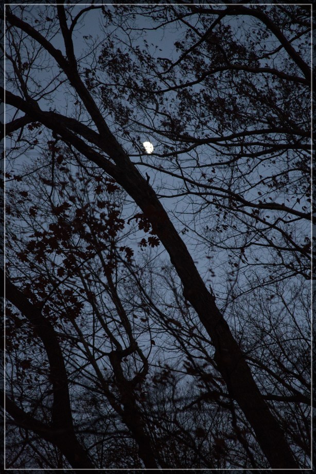 0001_0044_CA8A5813-Edit-Edit-Edit-2