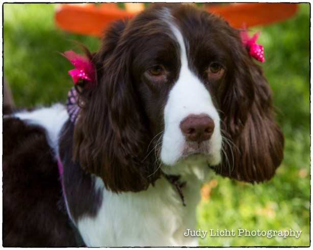 0001_0070_CA8A6773-Edit