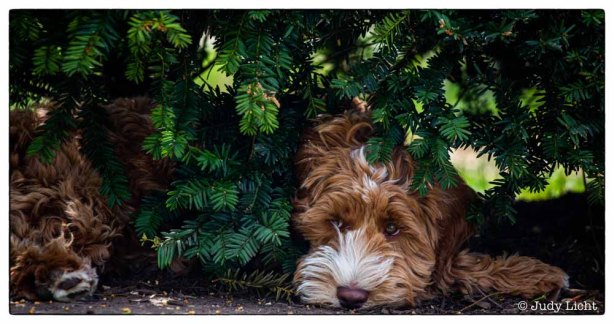 CA8A8979-Edit-2-Edit